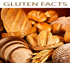 Gluten Facts